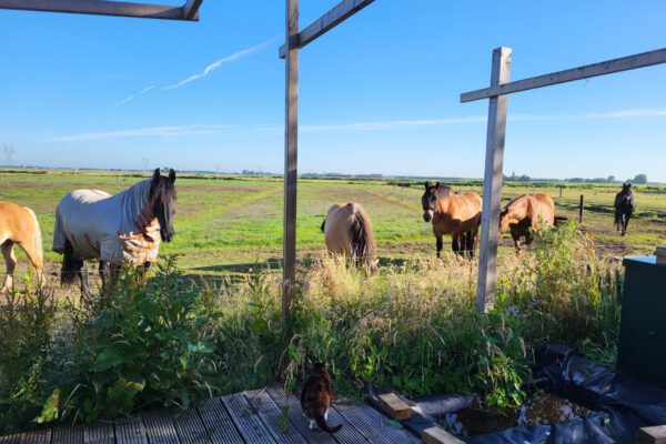 20220621_075742 20220621_075742