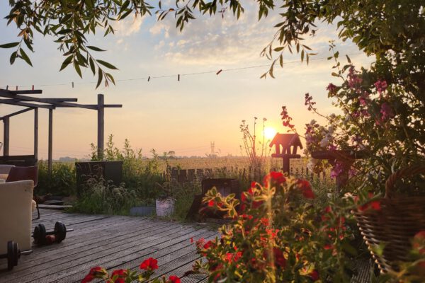 20230612_212033 20230612_212033