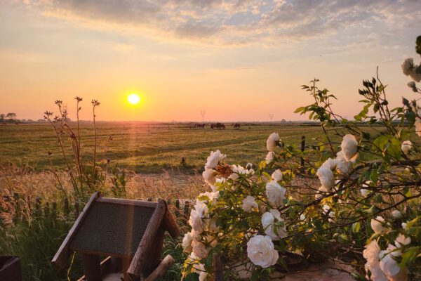 Ancient Mother Sunset Ancient Mother Ayahuasca Retreats