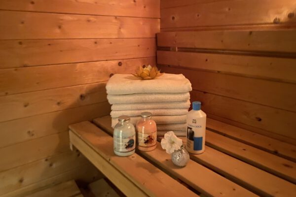 AC-farm-house-psilohuasca-sauna AC-farm-house-psilohuasca-sauna