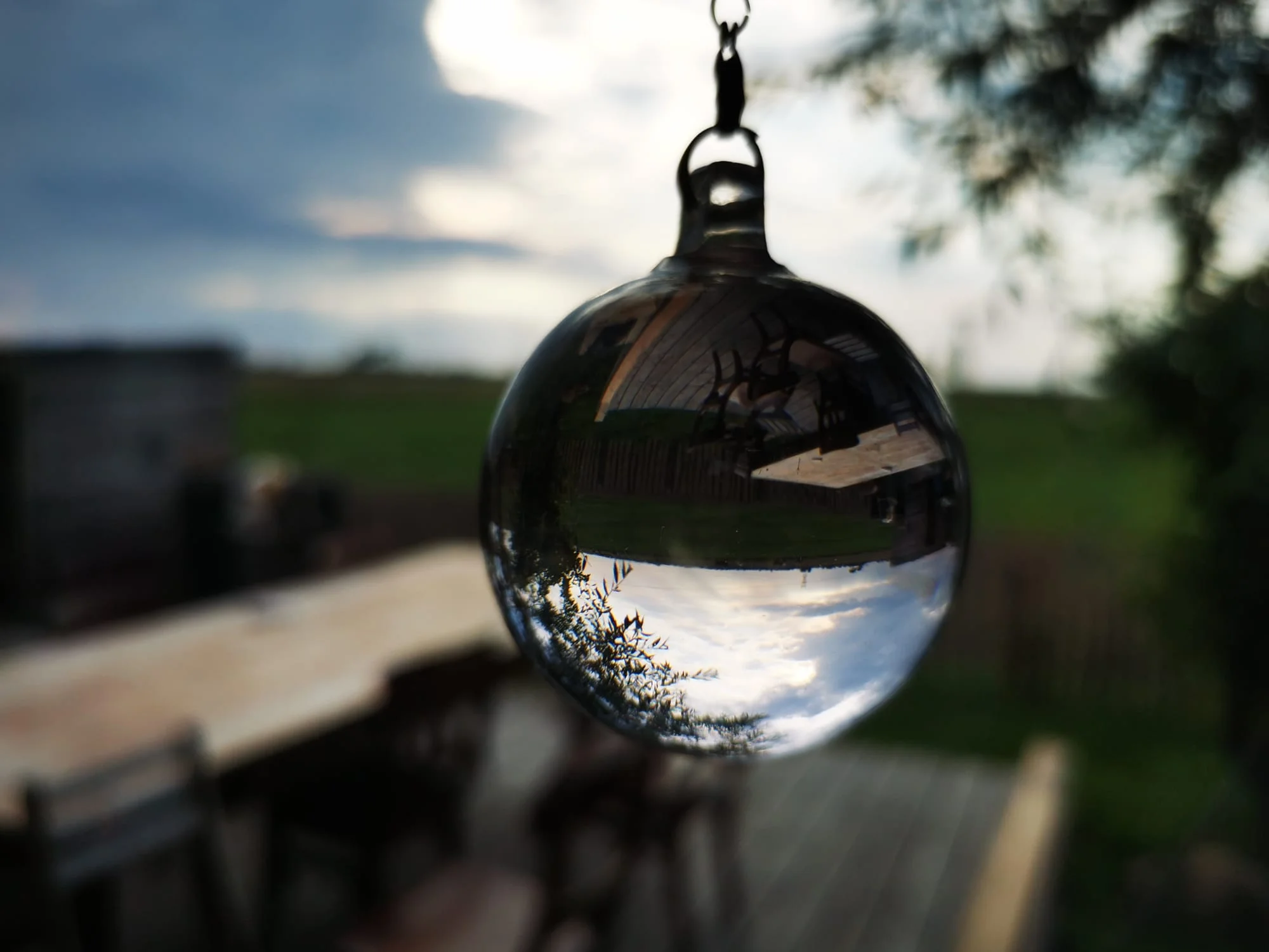 Psilohuasca retreat at Ancient Mother