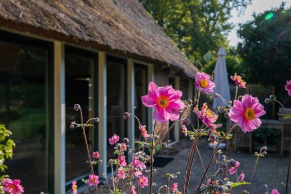 IMG-20250129-WA0010 IMG-20250129-WA0010